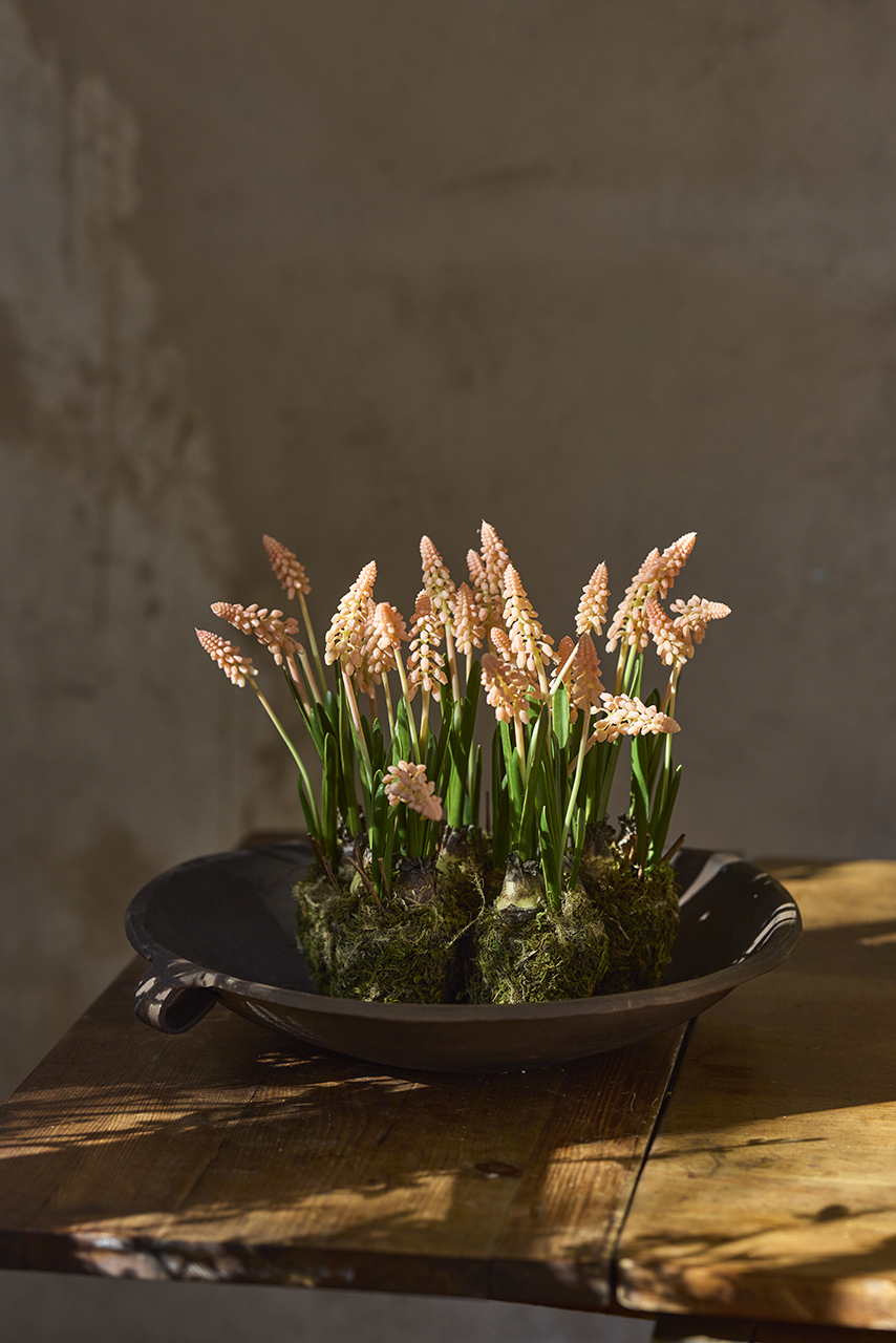 /images/imagebankSeasons/small/Mr Plant SS 2024/1773-20-1.jpg